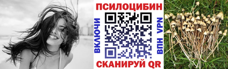 Купить  Бор  Галлюциногенные грибы GOLDEN TEACHER 