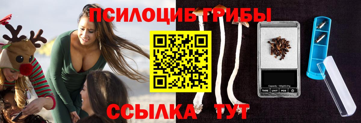 Галлюциногенные грибы мицелий  цены   Бор  Вход с VPN 