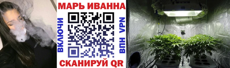 Бошки Шишки MAZAR Бор